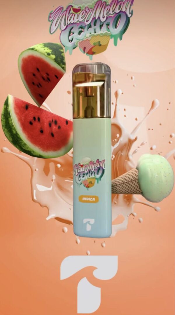 Tsunami disposables watermelon gelato